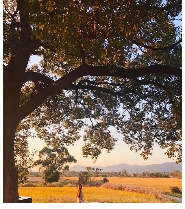 古城|出片率超高！宫崎骏动漫里的梦幻夏天，就在这座5000年的古城里