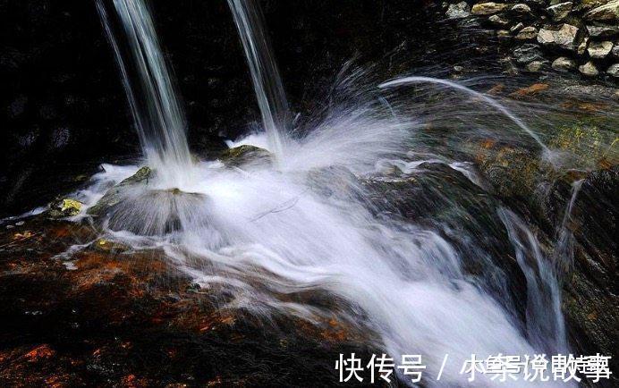 荷塘月色|王维这首诗太美, 每一句都令人心醉!