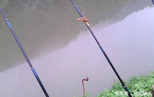 野钓不上鱼那是因为用饵不对,我从三个方面,分享几种钓饵