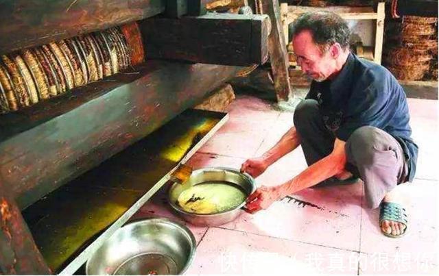 孩子|这3种油常见且很香,但尽量别给孩子吃,小心影响身体发育