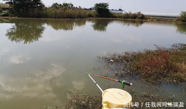  气温|冬季钓鱼误区多，躲过了低温，没躲过这些坑，就是让你钓不到鱼！