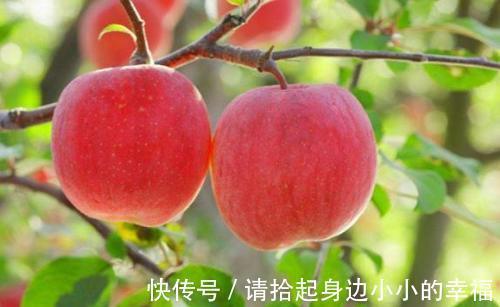 碱性食物|女性再节约，也要多吃“碱性食物”！巧治妇科病