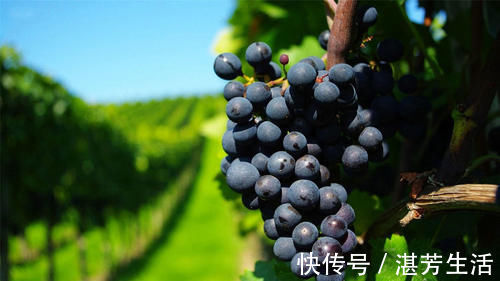 补充营养|女性过了30岁,多吃三种食物,理气止痛,化痰止咳,预防感冒