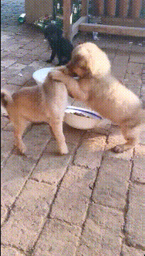 |搞笑GIF:这难道是兵马俑,秦始皇要复活他们吗