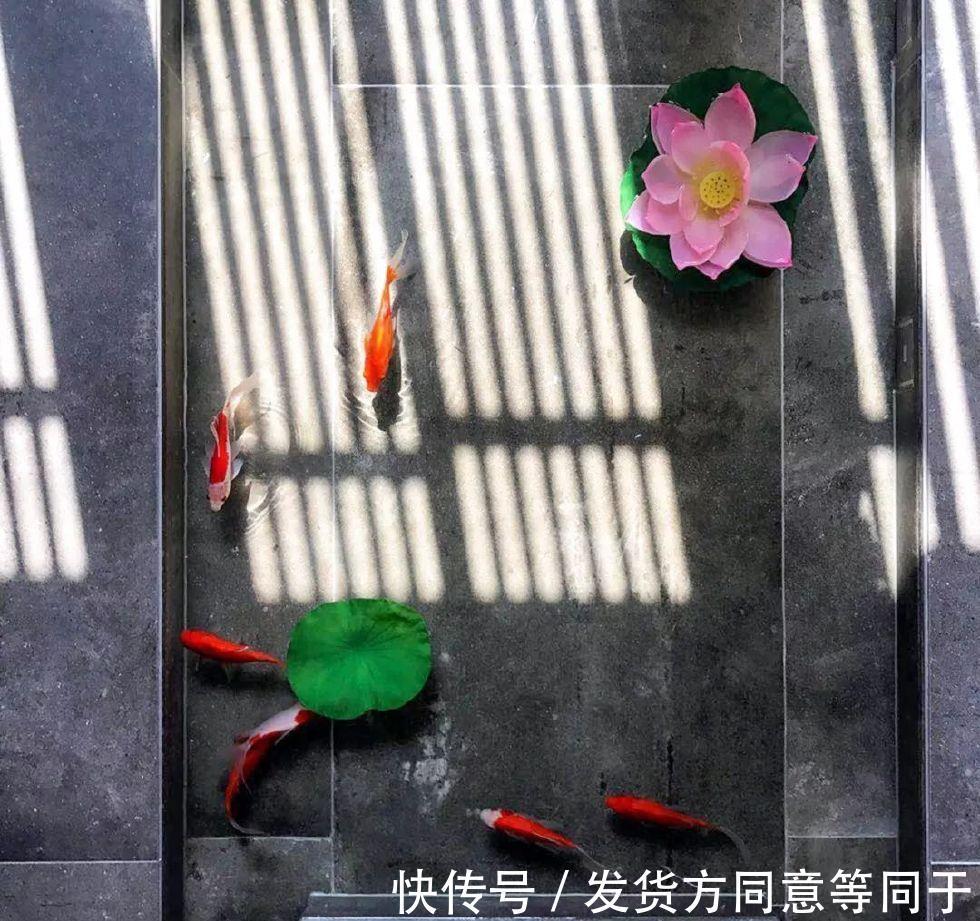 地板|老公不顾反对在地板下养鱼，老婆气到哭，半年后回到家彻底懵了