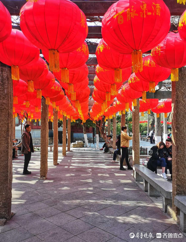 济南趵突泉的春天，泉水千回百转春已来！|就地过年?春在身边| 济南趵突泉的春天，泉水千回百转春已来！\＂,\＂i16\＂:\＂就地过年?春在身边