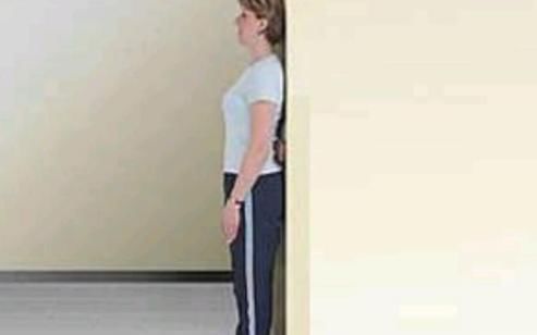 消化系统|为何腰腹部易出现“赘肉”？若能养成这些好习惯，小肚子会消失