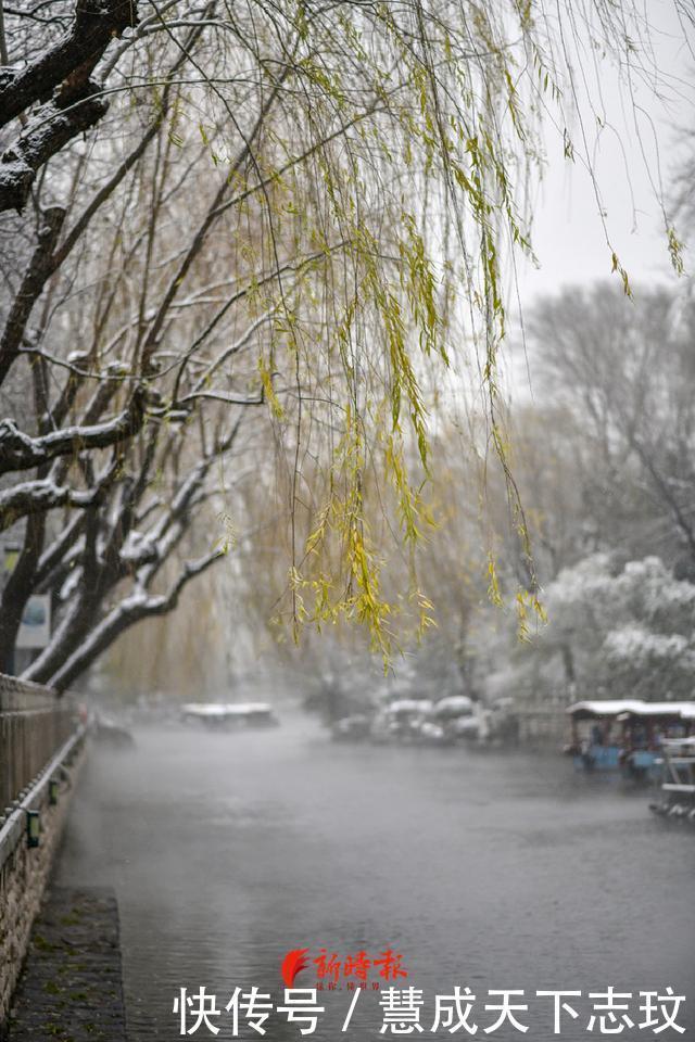 太美了！一场雪后，济南护城河云雾润蒸成“仙境”