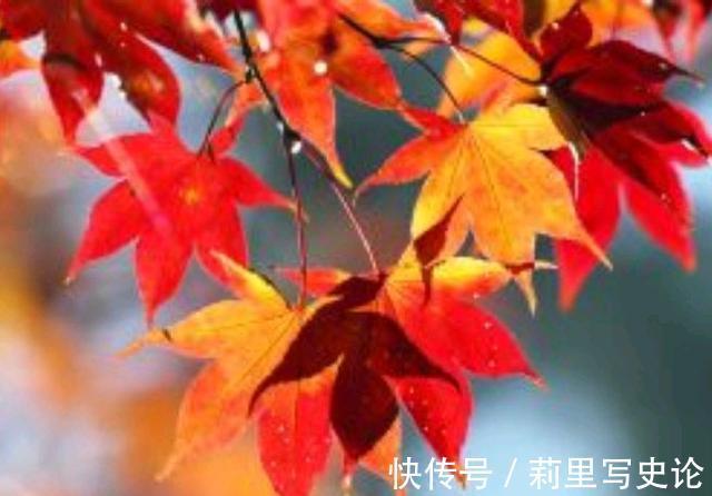 烟火$人生若沧桑,愿你诗意生活,生活若寻常,愿你欢喜度过