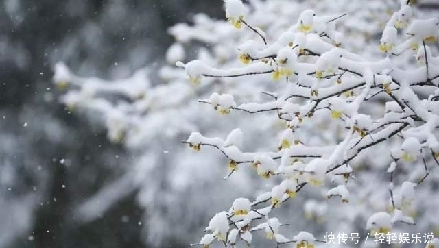  次日|江南才女被人诬陷，凭借一首词为自己洗冤，次日便获得自由