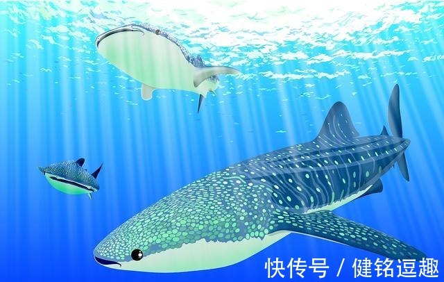风油精|值得收藏的二十条生活小技巧