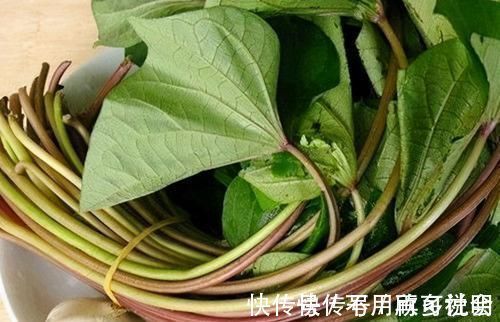 养颜|会吃的人最健康,不妨多吃3种食物,排毒养颜、延缓衰老
