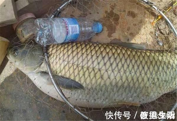 控鱼期|钓中大鱼后有3忌,把握不当则容易脱钩跑鱼,钓鱼人请记牢