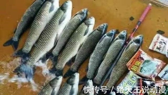 伊势尼|热天“对付”草鱼,还纠结钓浮还是钓底?老司机:知道的人不简单