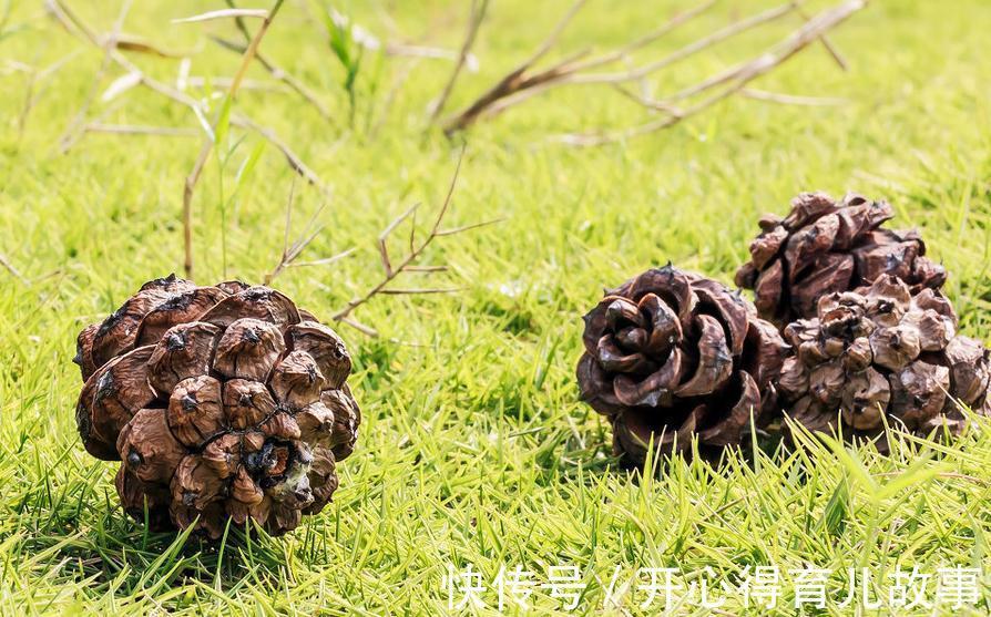 植物烂根怎么办，学会这些就不用担心了