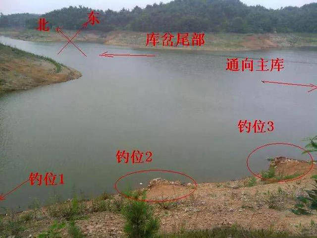 为什么老钓手常说“屁股决定渔获”附图说明