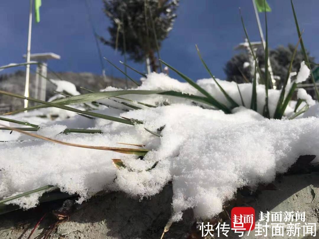 保护区|美！四川平武迎来今冬首场冬雪