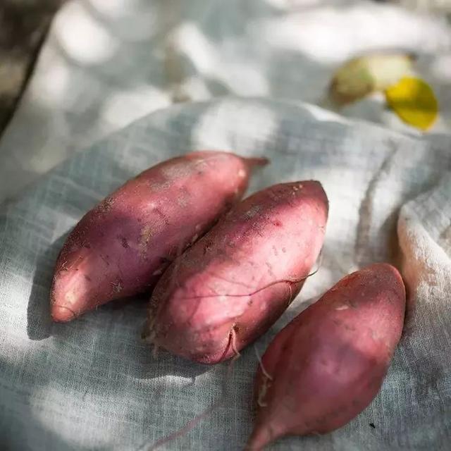 红薯的N种做法,味好又健康,香甜软糯,好吃到哭