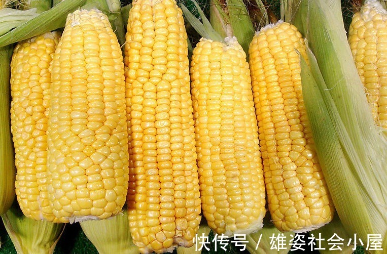 解毒|肝脏最怕“4白”,而你却天天往嘴里送!这“3黄”才是肝脏最爱