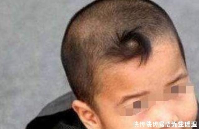 孩子头上的“旋”的个数,暗示孩子智商高低家长要了解真相