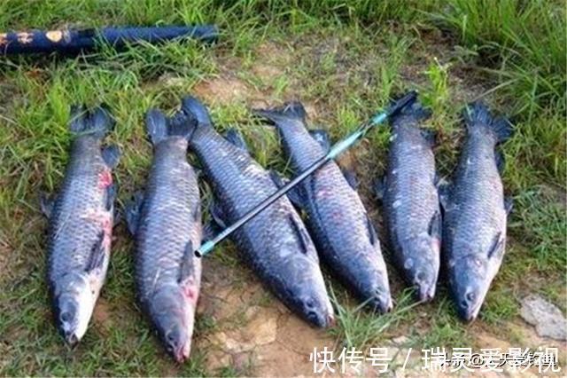 秋季钓鱼,分享几个“通杀型”饵料配方,野钓大鱼“专属”