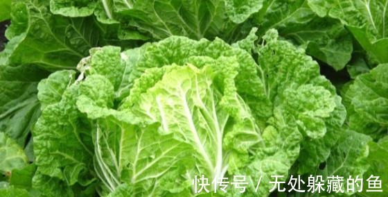 农村腌菜的老方法,一次腌10斤都不够吃,酸甜脆爽比辣椒开胃!