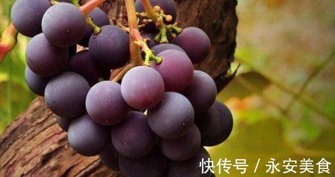 食物|聪明女性坚持吃3种食物,美容养生、滋润肌肤,好吃又不贵!