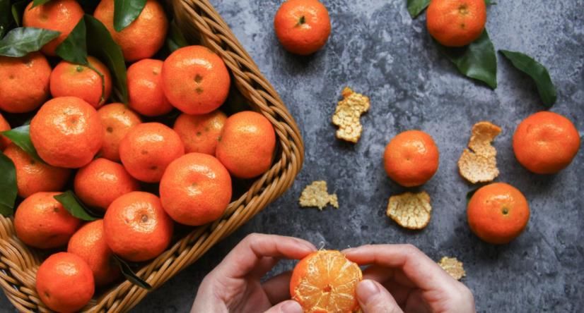 养蟹爪兰不能少了“这3样”，好好用，盆栽开花多又美