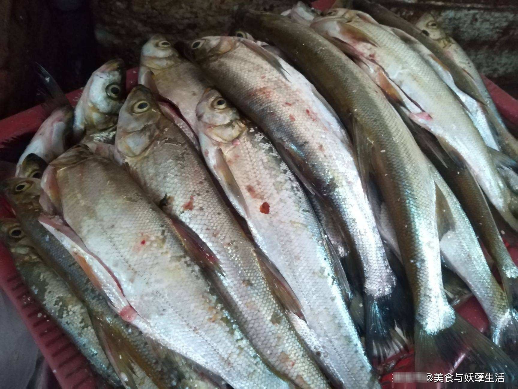 菜市场碰到这鱼,一次买5斤,10元一斤,比吃鲫鱼更营养更美味