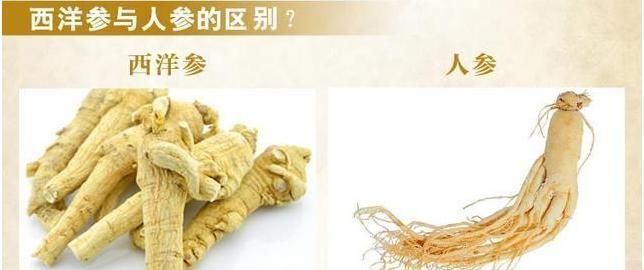 西洋参含片什么味道 西洋参含片什么味道