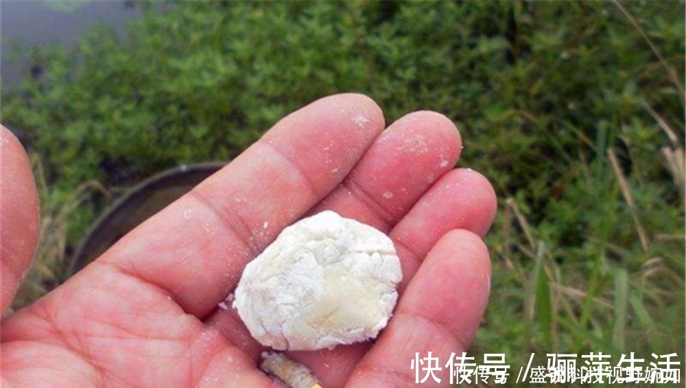 饵料|夏季钓鲫鱼，这些清淡饵料有奇效，避开闹窝小鱼，直取大鲫鱼！