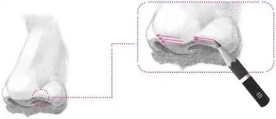 鼻孔@零基础素描教程:分步骤讲解34侧面鼻子画法,简单易学,快临摹