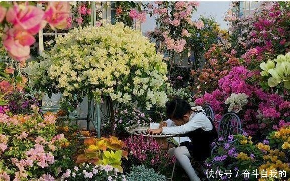 养护|她在院里养了一种花,3年之后美如画,见到的人都说像仙境!