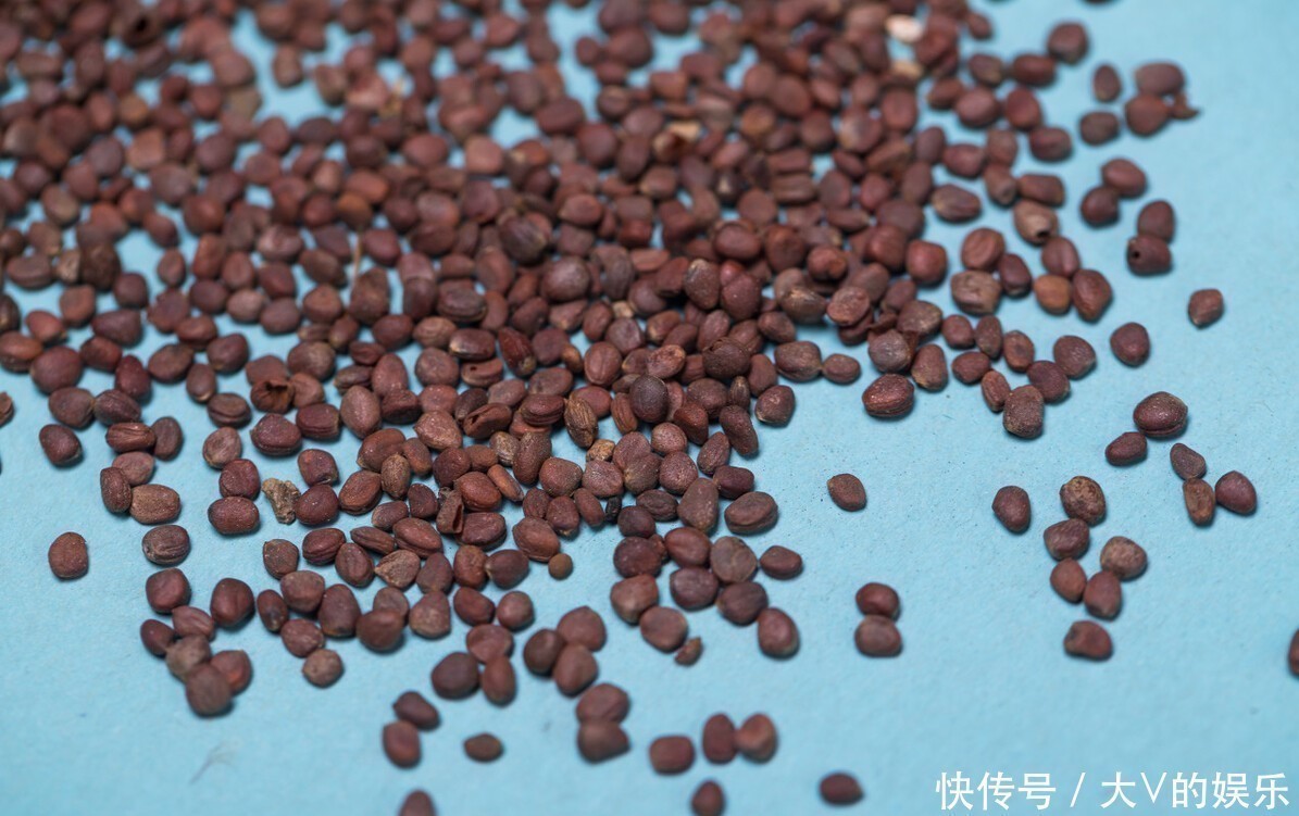 火麻仁|原来解决便秘怎么简单这一物坚持喝,每天准时上厕所,一通到底