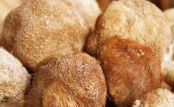 怒斥|5岁女童脾虚发育停滞,医生怒斥家长:3种汤竟当宝贝喂,愚昧