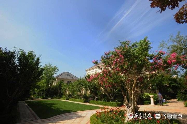 腊山御园|杨斌：生活在“山上”就是最向往的生活