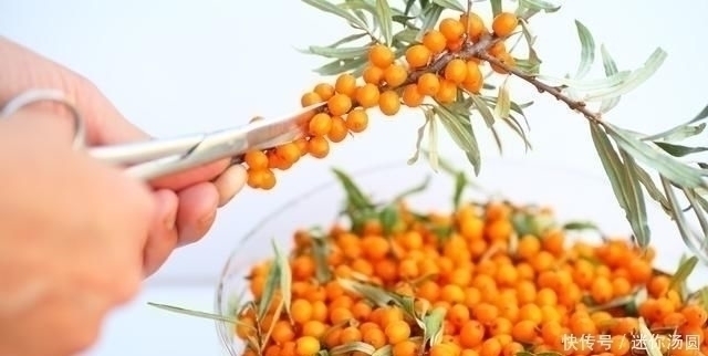 抗生素|幽门螺杆菌很怕3种食物,搭配吃,坚持15天,胃病“一扫而光”