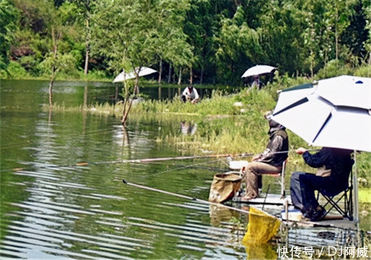 晚春钓鱼的秘诀,做到四钓四不钓,大鱼小鱼都能钓