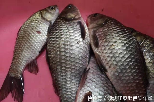 早春出钓时机最为重要,这几种天气错过你会错过很多渔获