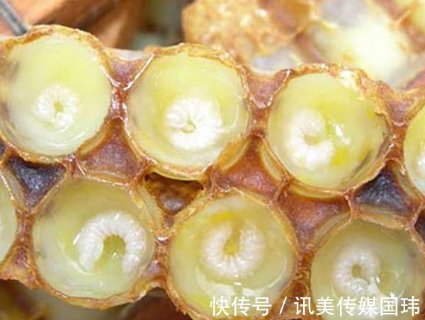 氨基酸洗面奶|这几款洗面奶用过一次就上瘾！第1支比400多的香奈儿还好用