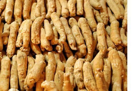 中药|补气、养阴、改善糖尿病,1味中药全“搞定”,你知道是哪种么?