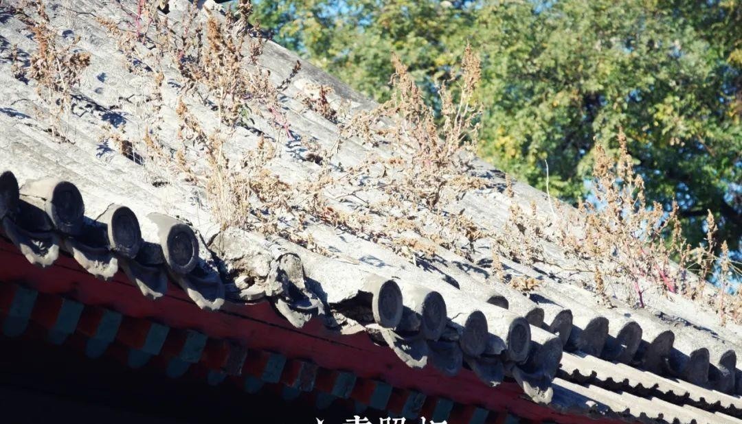 镜头|重拍北京旧日遗存,透过现实的镜头了解逝去的历史——新街口周边