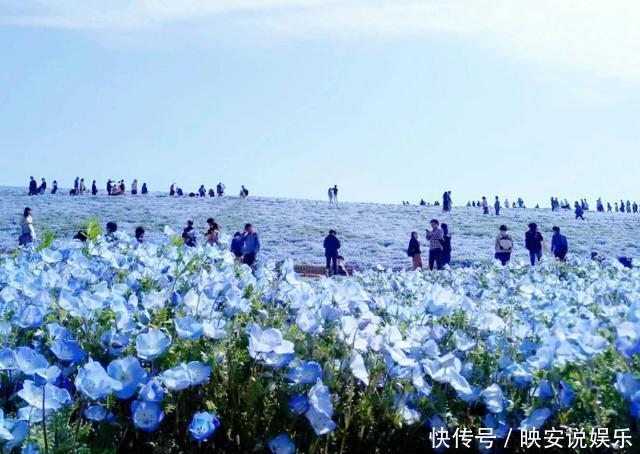 日本|日本最漂亮的花园，一年四季花开不败，景色绝美如仙境