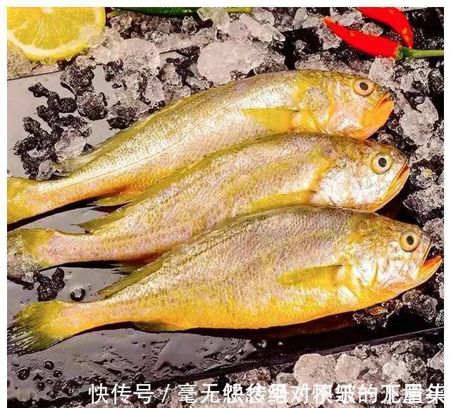 道口子|入秋后,如果不差钱,记得给孩子吃5种深海鱼,DHA含量高