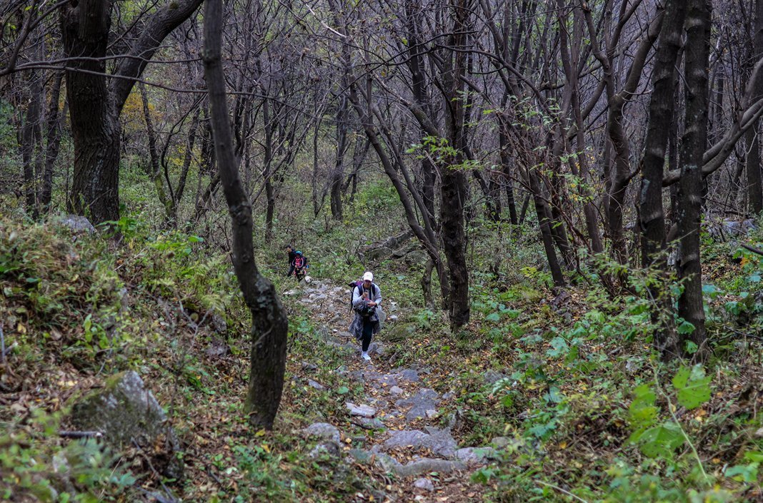 铁顶太兴山，号称终南第一峰险过华山，我用七个小时带你走完全程