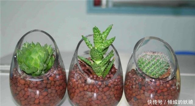 工地边的“3种石料”没人要，却不知，都是栽花好料，养啥花都旺