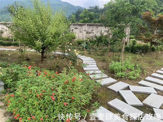 江南天路|安徽皖南川藏线九峰茶谷山庄民宿，几百亩茶园，采茶女手把手教你