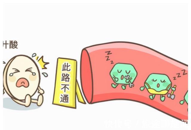 营养物质|叶酸你补对了吗?这5类女性备孕时要注意