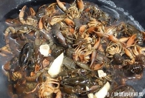 整筐|它长得像“小龙虾”,一问价格没人买,饭店大叔花500元整筐买走