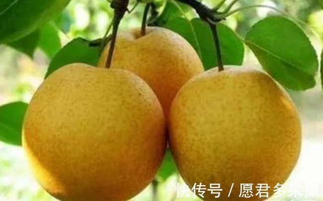 女人|女人常吃一物，頭不暈了，不咳嗽了，遠離婦科炎癥，子宮更健康
